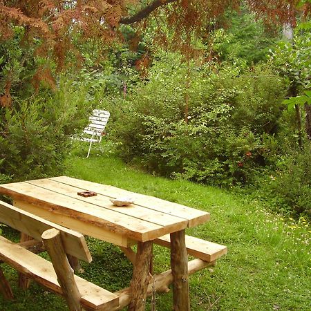 Hosteria Brisas Del Cerro Villa La Angostura Kültér fotó